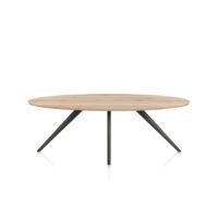 Arvada, Table à manger 220 x 110 cm, ellipse, 4 pieds - Metal graphite