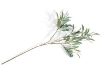 Olive Leaf Spray H82cm kunstbloem - Groen