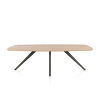 Arvada, eetkamertafel 250 x 110 cm, ovaal, 4 poot - Metal graphite