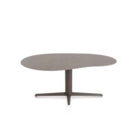 Saluti, eetkamertafel organisch 180 X 120 cm. - centrale teenpoot - steelbrown - Lava