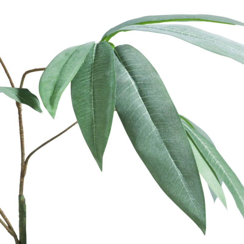 Eucalyptus Branch H95Cm - Groen - Afbeelding 2