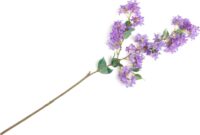 Jasmin Branch fleur artificielle H115cm - Pourpre