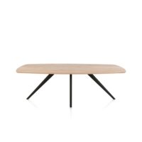 Arvada, eetkamertafel 220 x 110 cm, ovaal, 4 poot - Rough off black