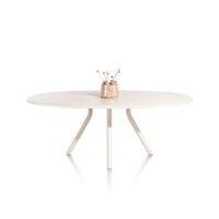 Lund, table ovale 210 x 120 cm. - stone-skin - pied central long - Nebbia