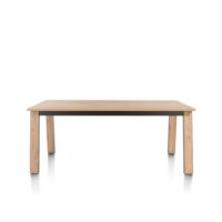Delmonte, table 170 x 100 cm