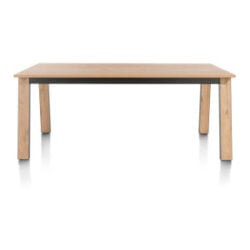 Delmonte, table 170 x 100 cm