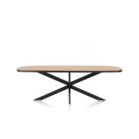 Avalox, table ovale 240 x 110 cm - couleur oak natural vintage - centrale pied