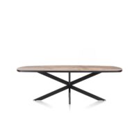 Avalox, table ovale 240 x 110 cm - couleur driftwood - centrale pied