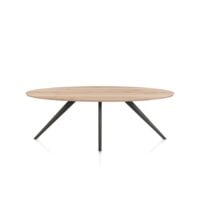 Arvada, eetkamertafel 220 x 110 cm - ellips - massief eikenhout - 4 poot - grafiet - Metal graphite