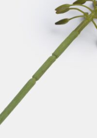 Eremurus spray fleur artificielle H105cm - Vert - Image 2