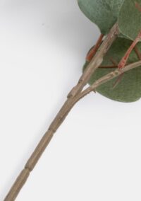 Eucalyptus spray fleur artificielle H105cm - Vert - Image 2