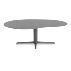 Saluti, table organic 210 X 120 cm. - pied central - graphite - Anthracite