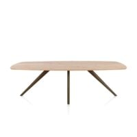 Arvada, eetkamertafel 250 x 110 cm - ovaal - massief eikenhout - 4 poot - steelbrown - Steel Brown