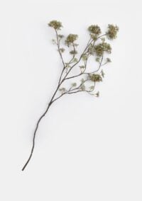 Hydrangea maple spray fleur artificielle H120cm - Vert