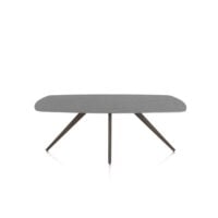 Saluti, table ovale 210 x 105 cm. - 4 pieds - steelbrown - Anthracite