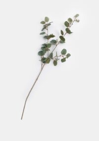 Eucalyptus spray fleur artificielle H105cm - Vert
