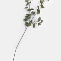 Eucalyptus spray kunstbloem H105cm - Groen