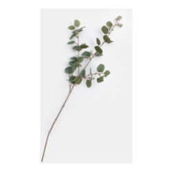 Eucalyptus spray fleur artificielle H105cm - Vert